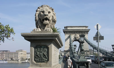 Il ponte è ornato da entrambi i lati da statue in pietra di leoni, create da János Marschalkó